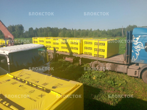 Пеноблоки Istkult D600 625х250х250 стеновые